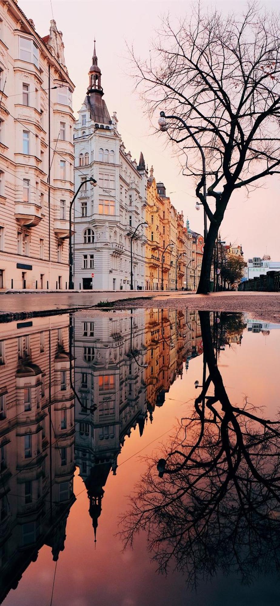 Center Of Prague Apartment 369 מראה חיצוני תמונה